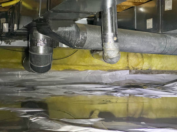 Best Commercial water damage restoration  in River Forest, IL