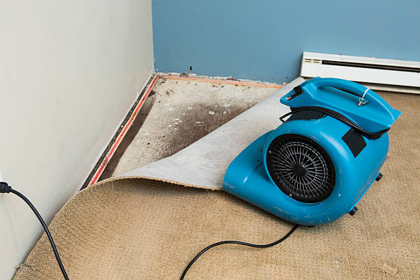 Best Sewage cleanup and water damage restoration  in River Forest, IL